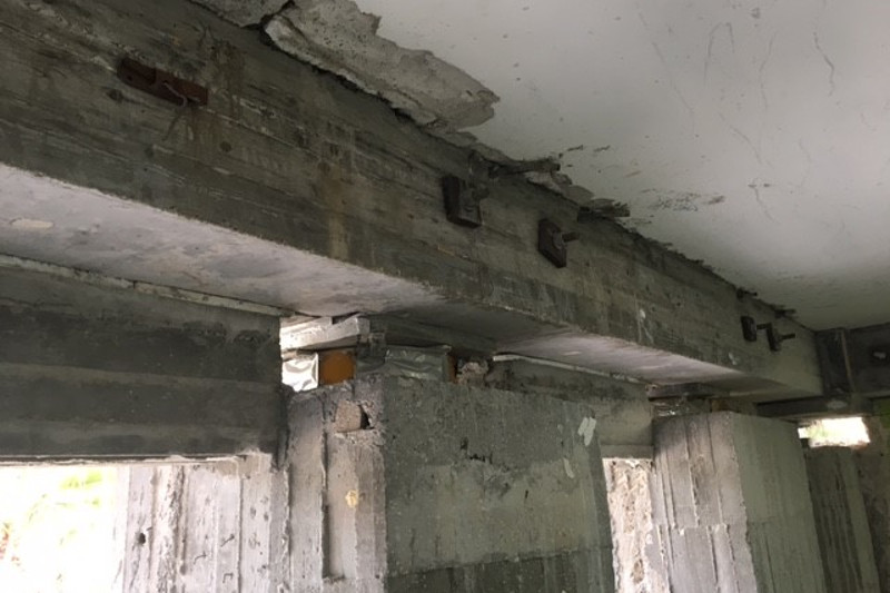 Peer Review Services For Schools In Israel 4 800x533